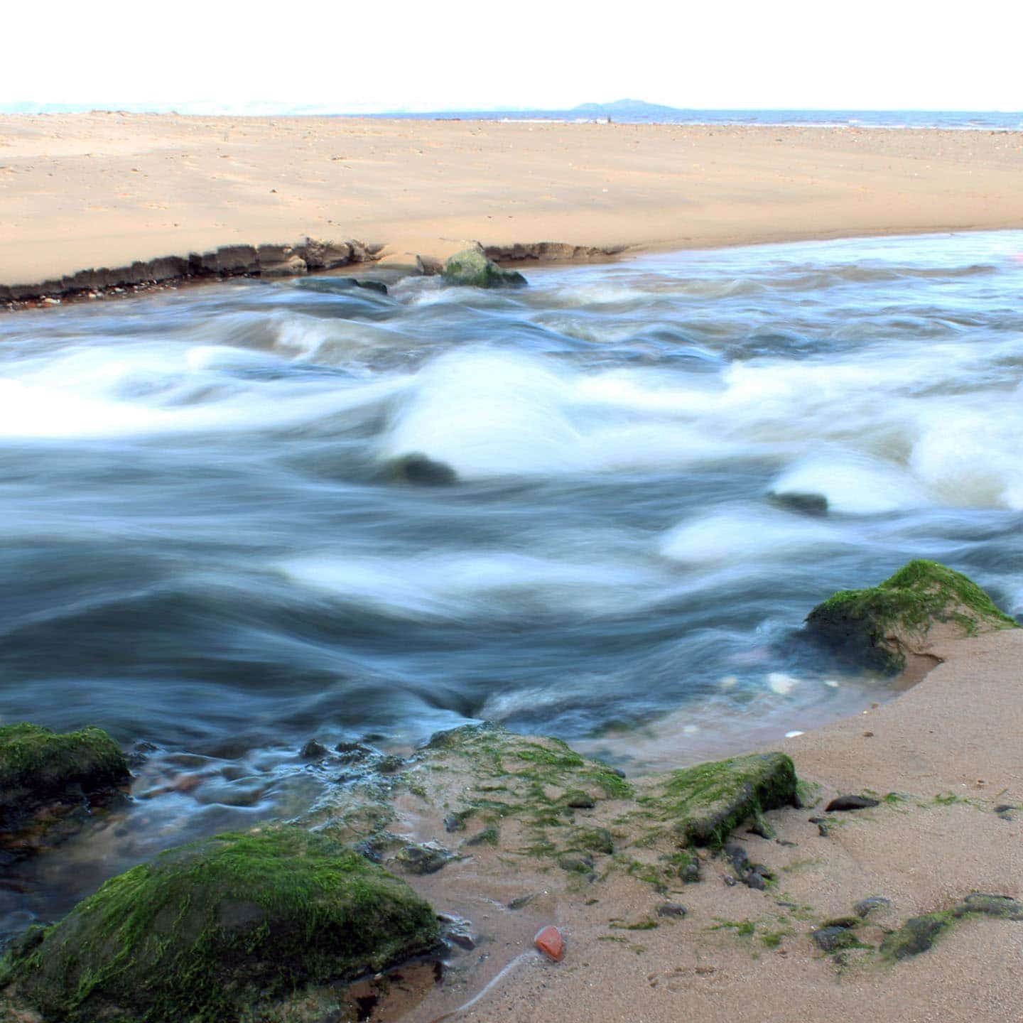 River Meets Sea