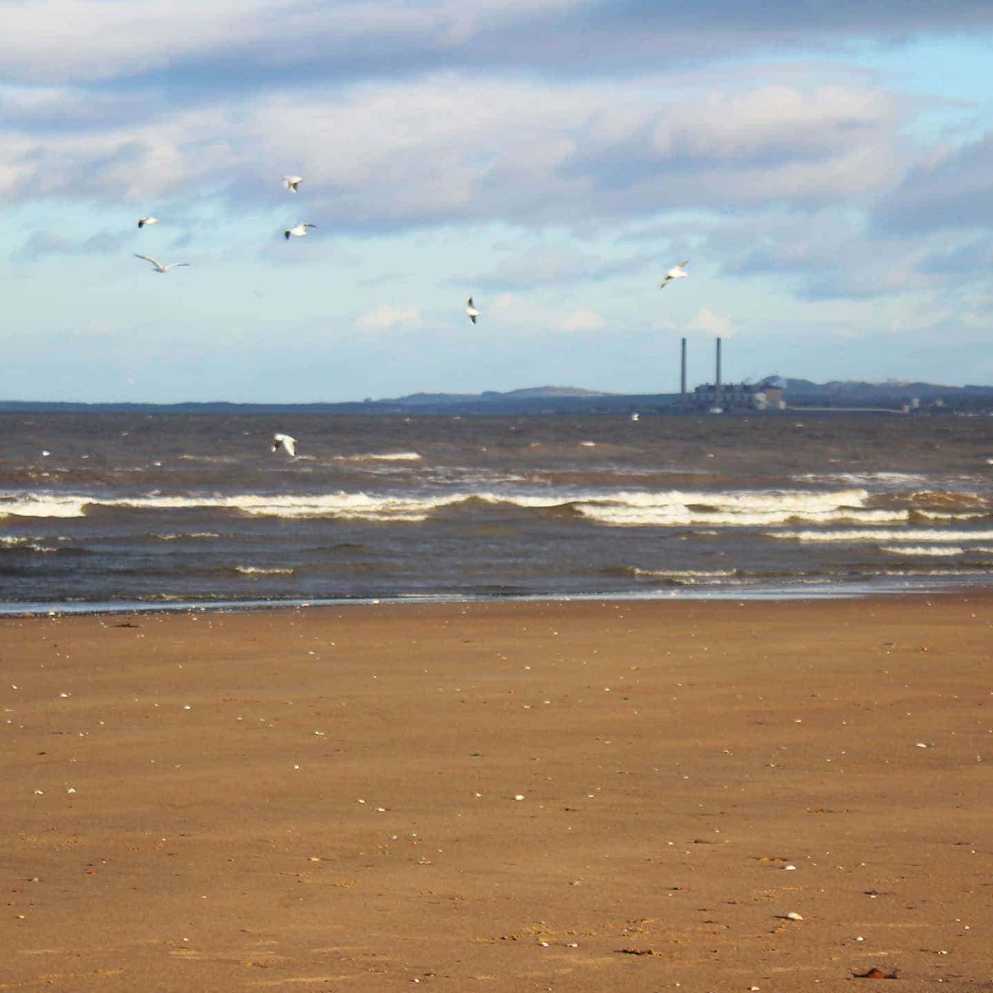 River Meets Sea